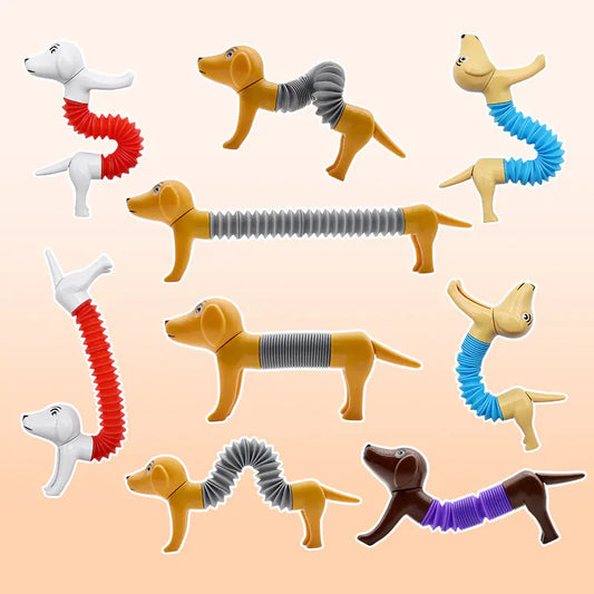 Spring Dog Pop Tubes Sensory Stress Relief Toy Set