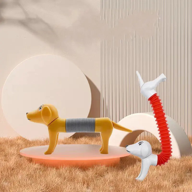 Spring Dog Pop Tubes Sensory Stress Relief Toy Set
