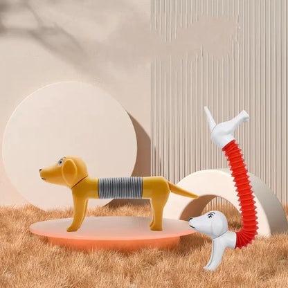 Spring Dog Pop Tubes Sensory Stress Relief Toy Set