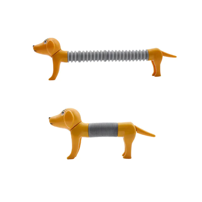 Spring Dog Pop Tubes Sensory Stress Relief Toy Set